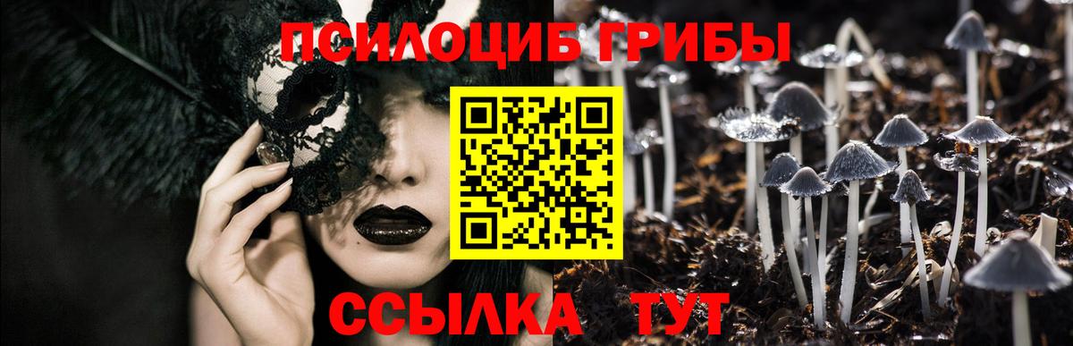 Ростов-на-Дону  купить наркоту  Вход с VPN  Галлюциногенные грибы GOLDEN TEACHER  Галлюциногенные грибы мицелий 